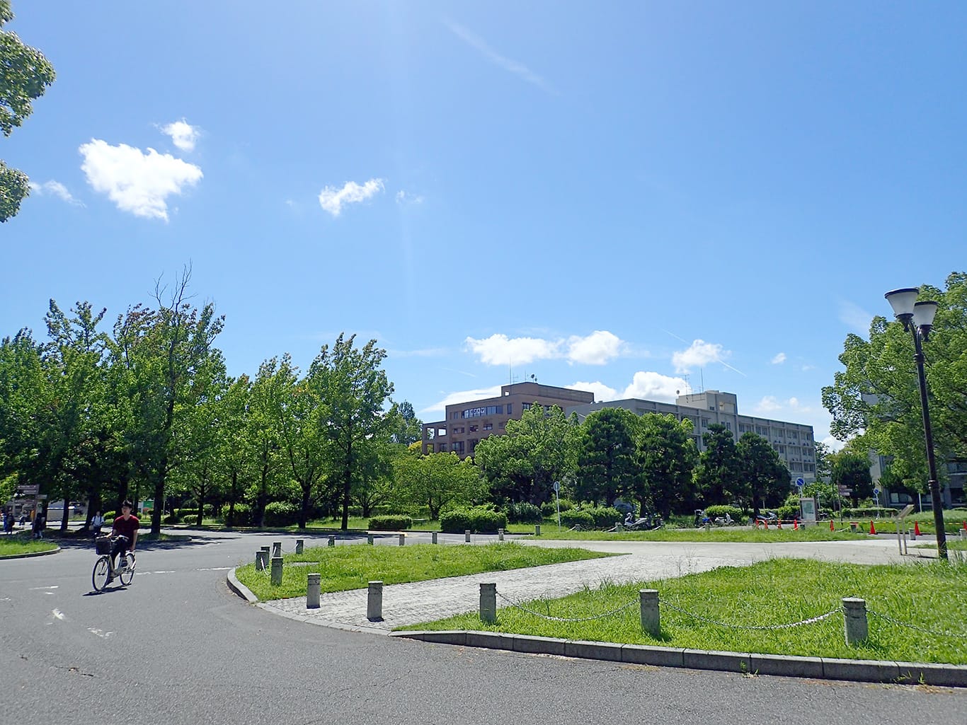 学校の緑化事業や剪定や年間管理