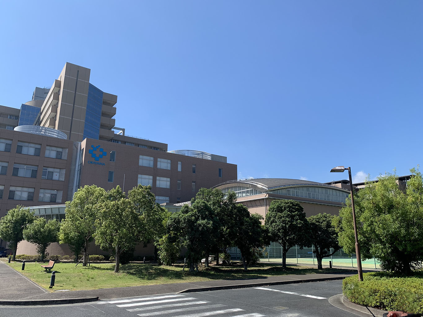 病院や企業の外回り(緑地)の剪定や年間管理