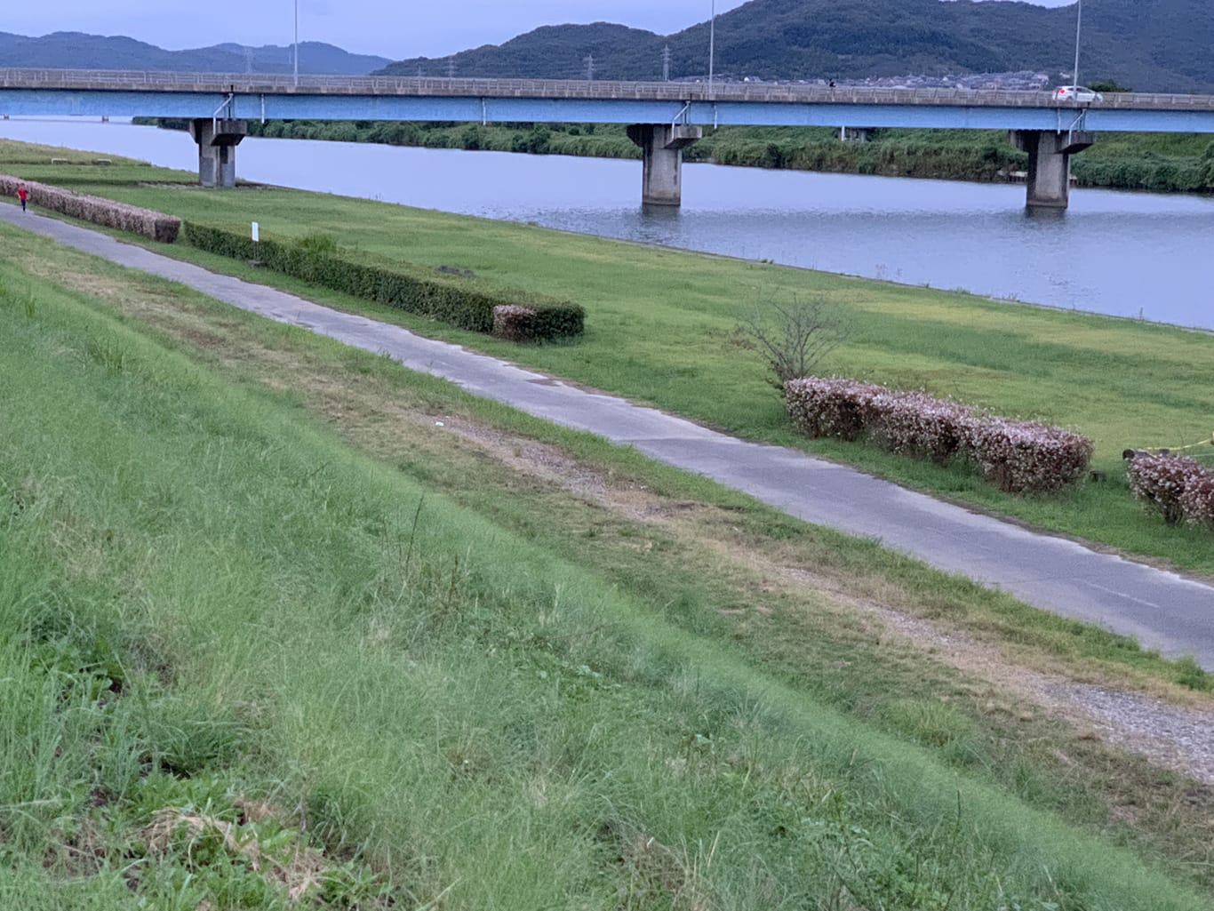 百間川河川敷の管理