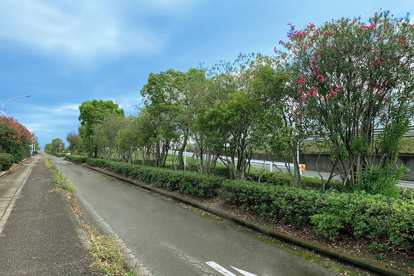 岡山市道路緑地帯の管理